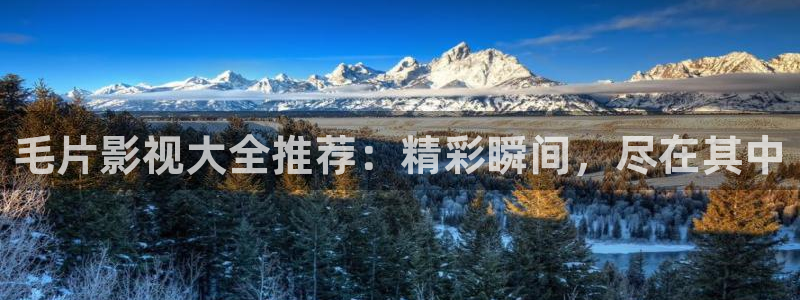 青柠影院免：毛片影视大全推荐：精彩瞬间，尽在其中