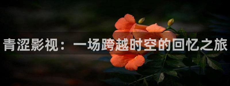 青柠在线电视剧免费观看策驰影院：青涩影视：一场跨越时空的回忆之旅