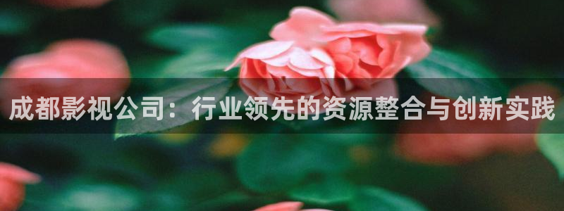 青柠酒店：成都影视公司：行业领先的资源整合与创新实践